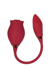 Łaskotliwy Tulipan: Róża Czerwona