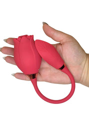 Łaskotliwy Tulipan: Róża Czerwona