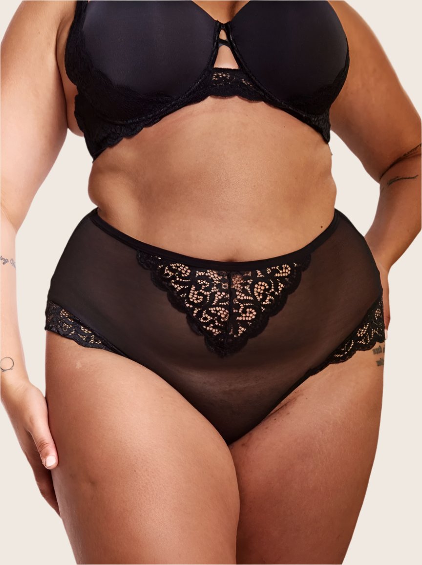 Bellatrix mesh and lace high waist brief in midnight black